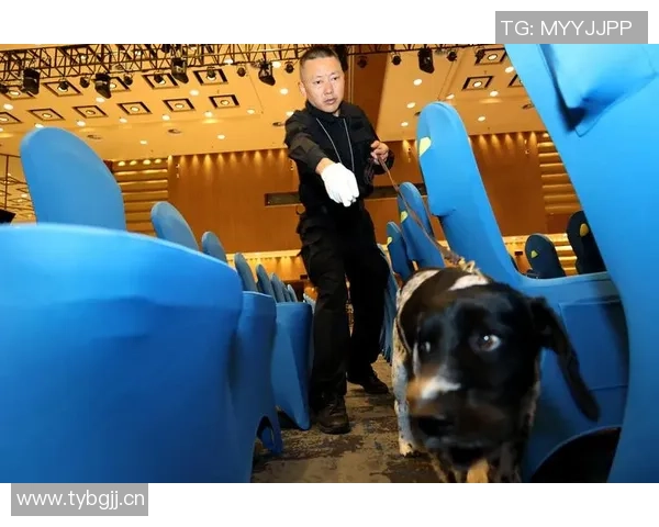 怀特平历史后卫单场帽子戏法纪录感慨能与传奇并肩作战